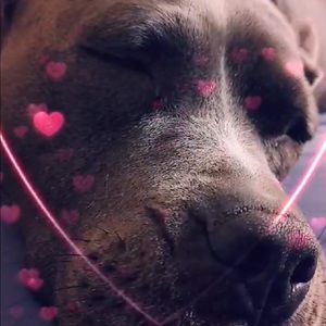 Meet your Posher, Kay